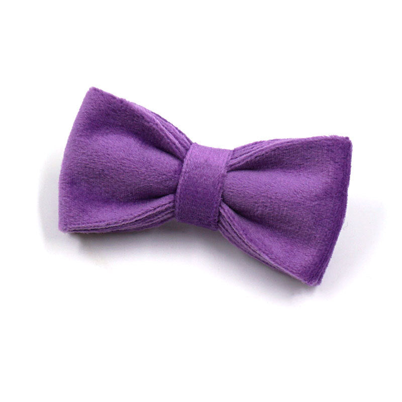 Pettns | Dark Purple Velvet Cat Collar with Custom Engraving for Everyday Pet Identification