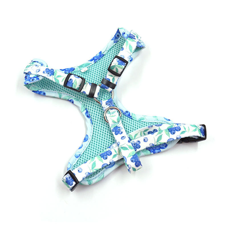 Pettns | Blueberry Pattern Dog Vest Harness for Everyday Outdoor Walks