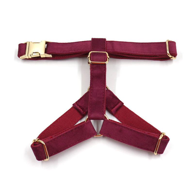 Pettns | Burgundy Velvet Dog Vest Harness with Gold-Tone Buckle for Everyday Walks