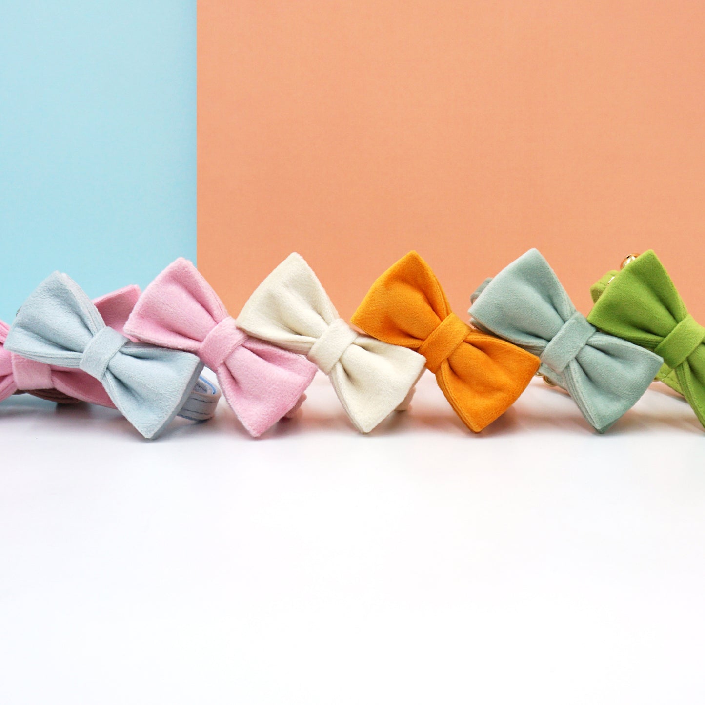 Pettns | Velvet Cat Collar with Bow Detail, Bell and Optional Laser Engraving