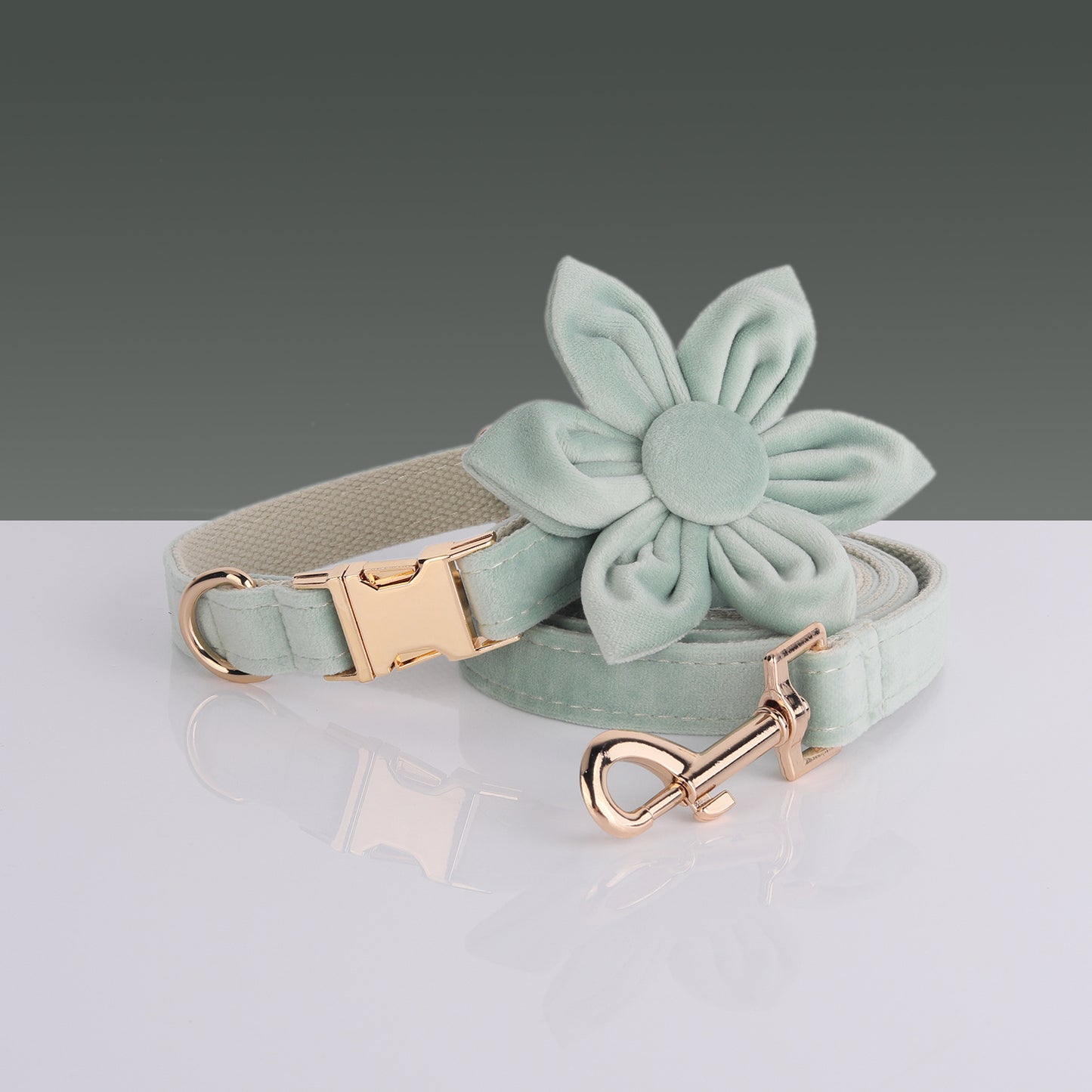 Boss Miha’S New Velvet Pet Collar Cute Flower Bow Leash Set Can Be Laser Engraved