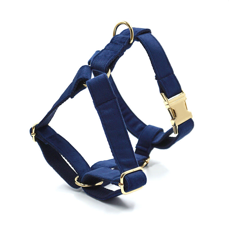 Pettns | Tibetan Blue Velvet Dog Harness with Gold-Tone Buckle for Everyday Outings