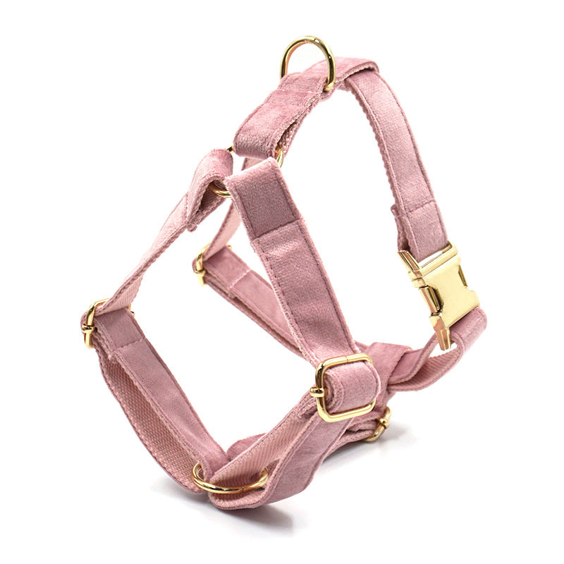 Pettns | Champagne Pink Velvet Dog Harness with Gold-Tone Buckle for Everyday Walks