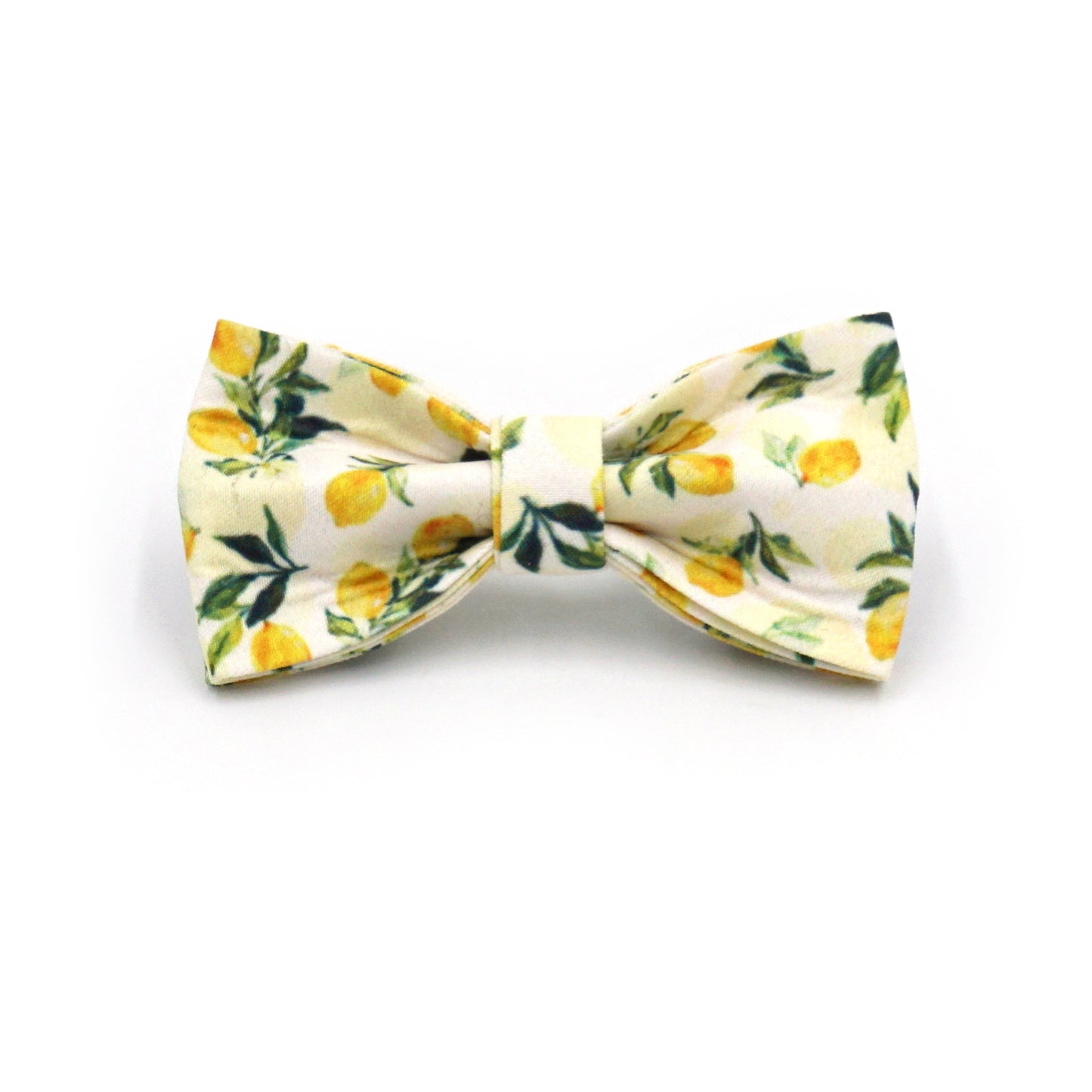 Pettns | Lemon Pattern Cat Leash and Collar Set with Letter Detail for Daily Walks