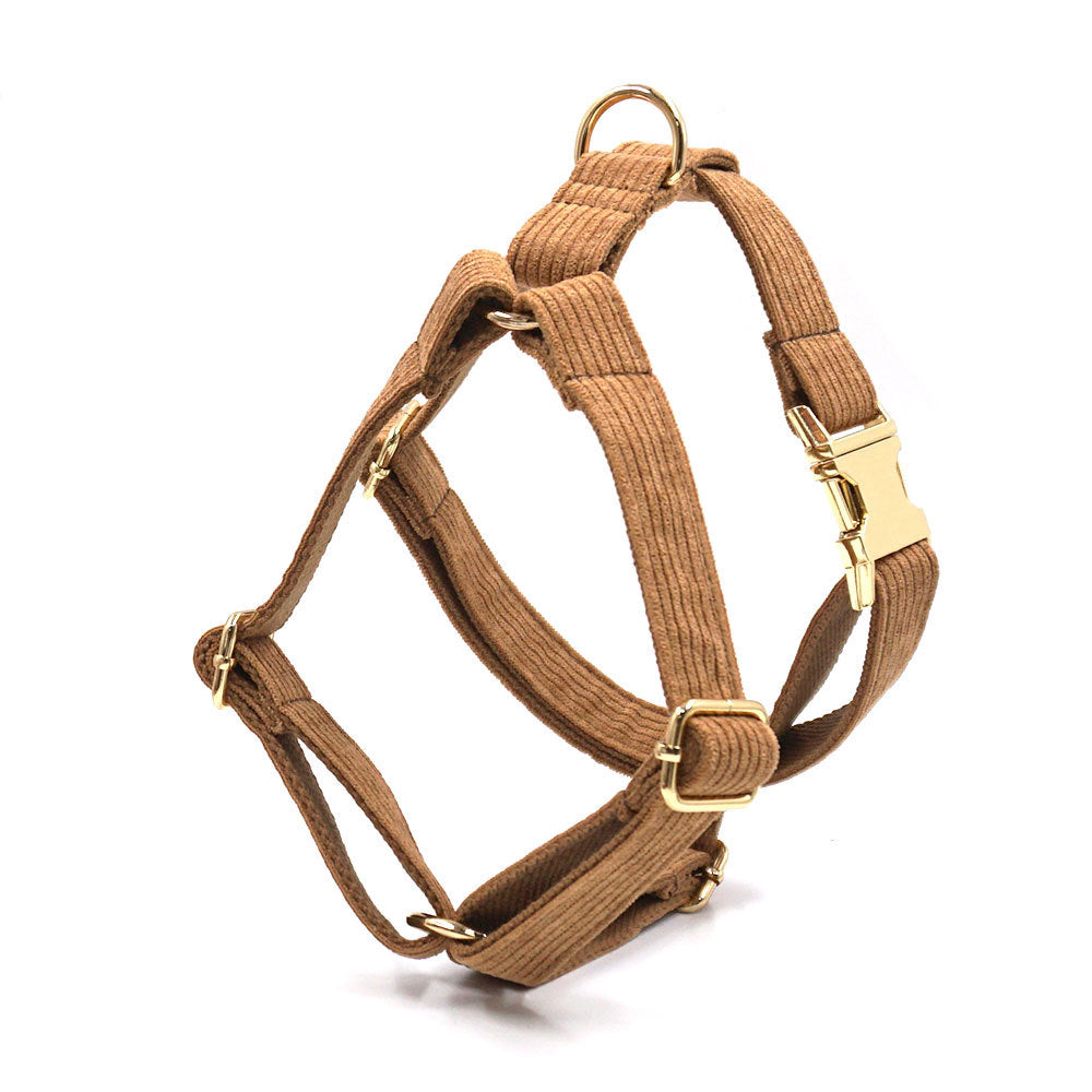 Pettns | Brown Velvet Dog Vest Harness with Gold-Tone Buckle for Everyday Outings
