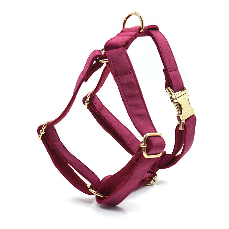 Pettns | Burgundy Velvet Dog Vest Harness with Gold-Tone Buckle for Everyday Walks