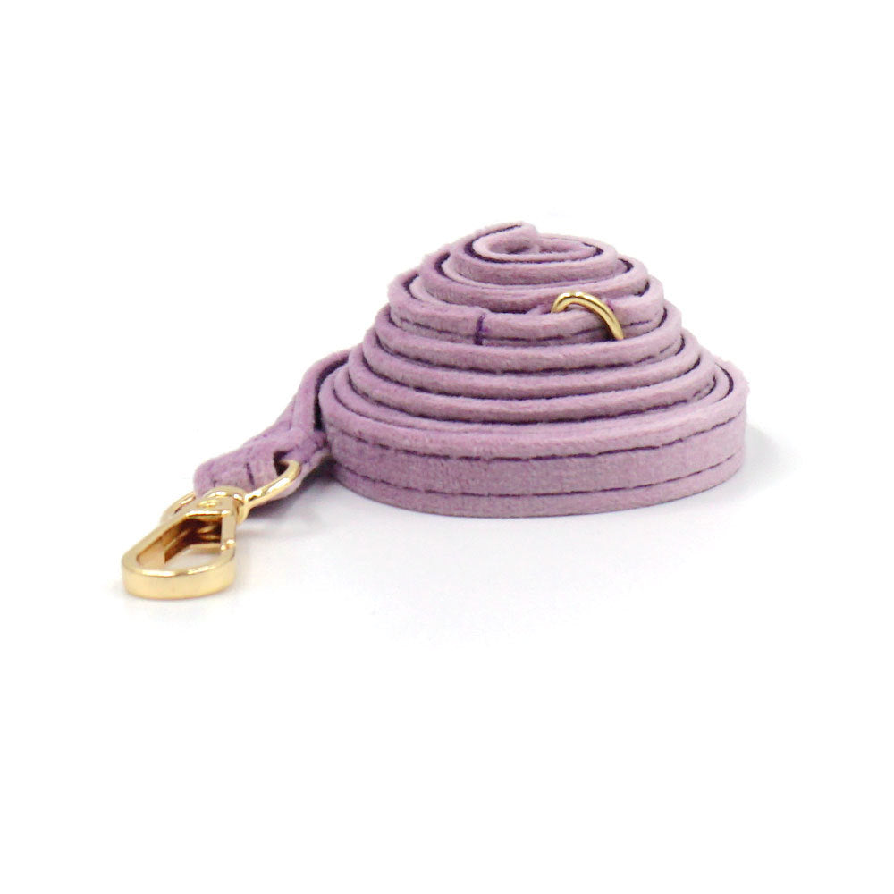 Cross-Border Drop Shipping Cat Leash, Small Dog Leash, Dog Walking Leash, Teacup Dog Chihuahua