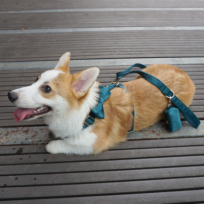 Pettns | Thick Velvet Dog Harness for Everyday Outings and Daily Walks