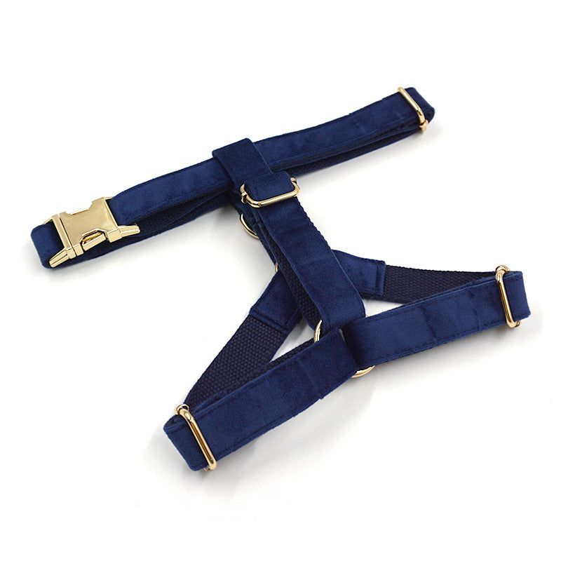 Pettns | Tibetan Blue Velvet Dog Harness with Gold-Tone Buckle for Everyday Outings