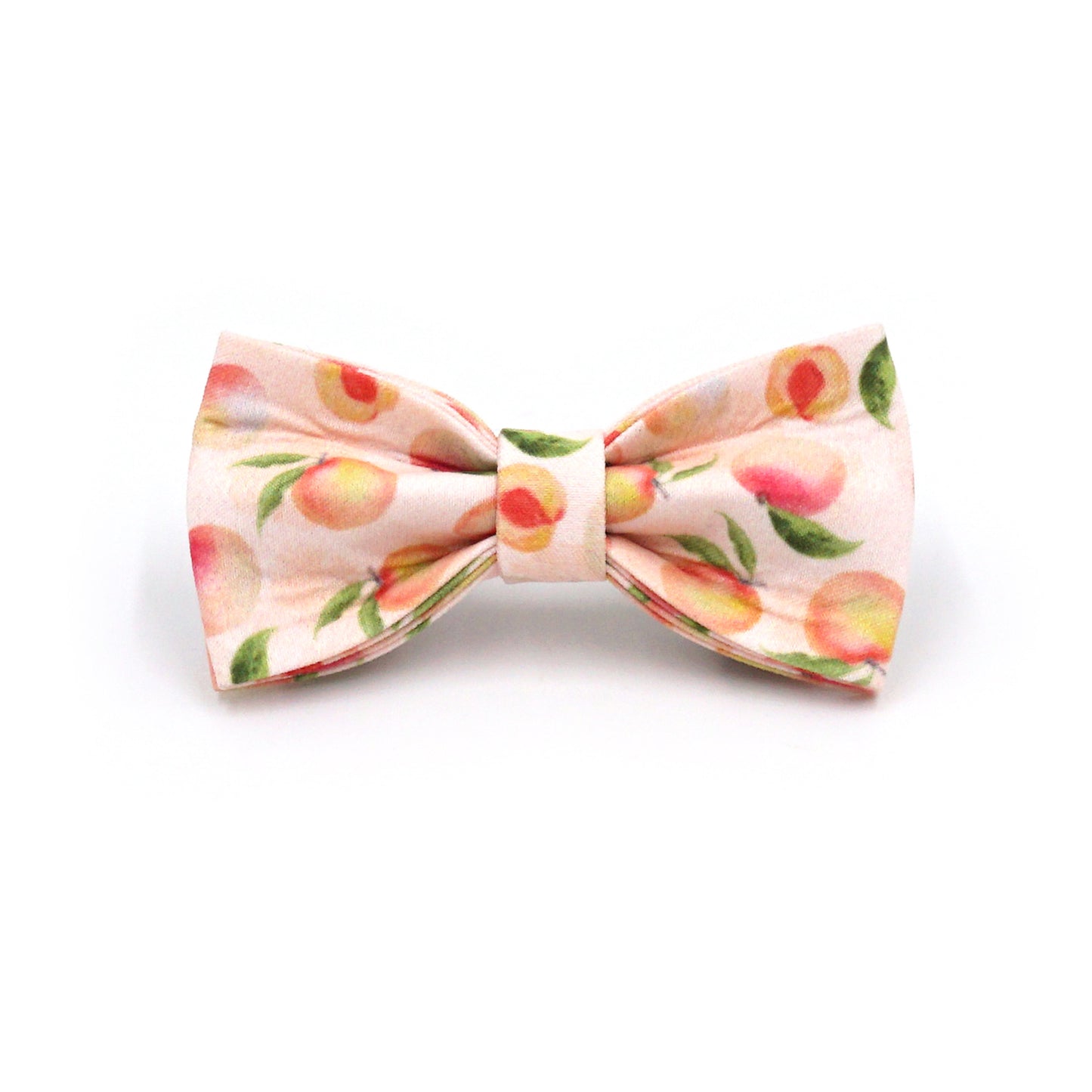 Pettns | Lemon Pattern Cat Leash and Collar Set with Letter Detail for Daily Walks