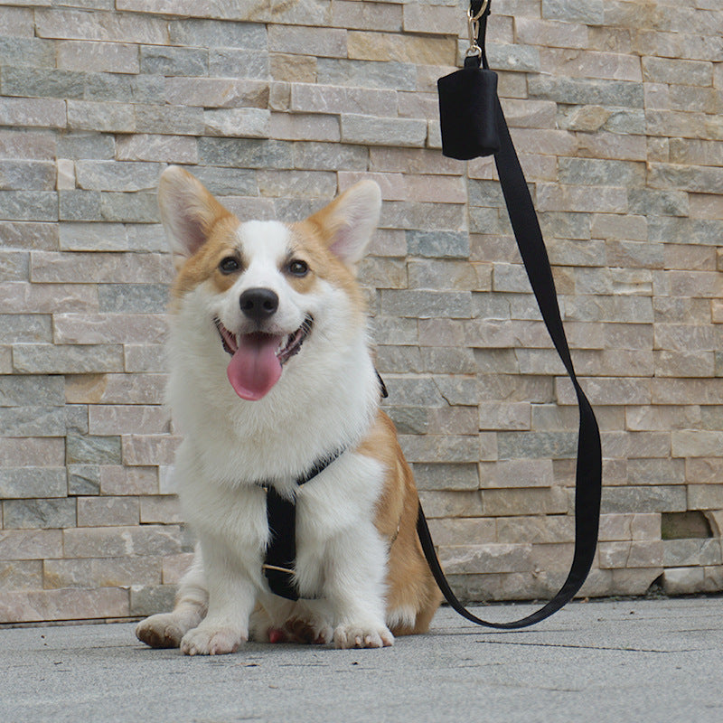 Pettns | Thick Velvet Dog Harness for Everyday Outings and Daily Walks