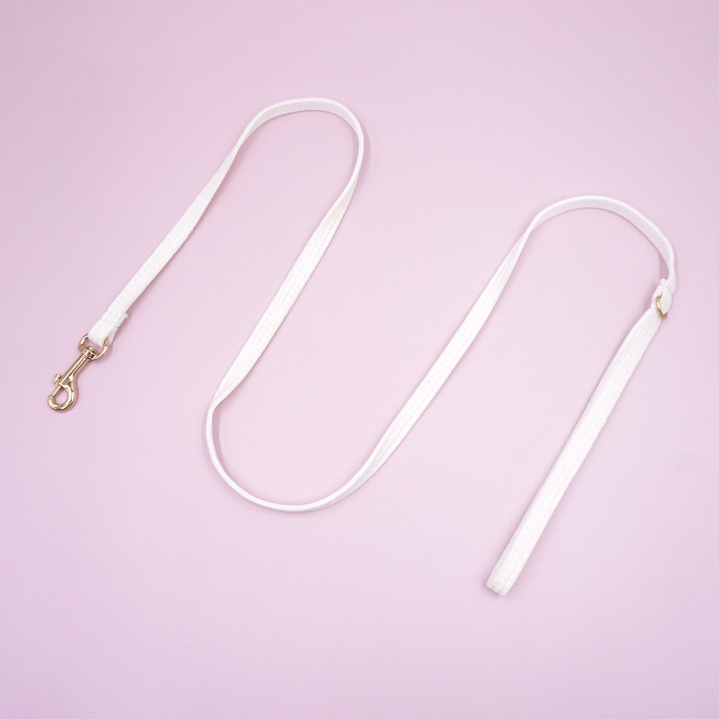 Cross-Border Drop Shipping Cat Leash, Small Dog Leash, Dog Walking Leash, Teacup Dog Chihuahua