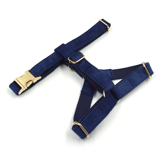 Pettns | Tibetan Blue Velvet Dog Harness with Gold-Tone Buckle for Everyday Outings