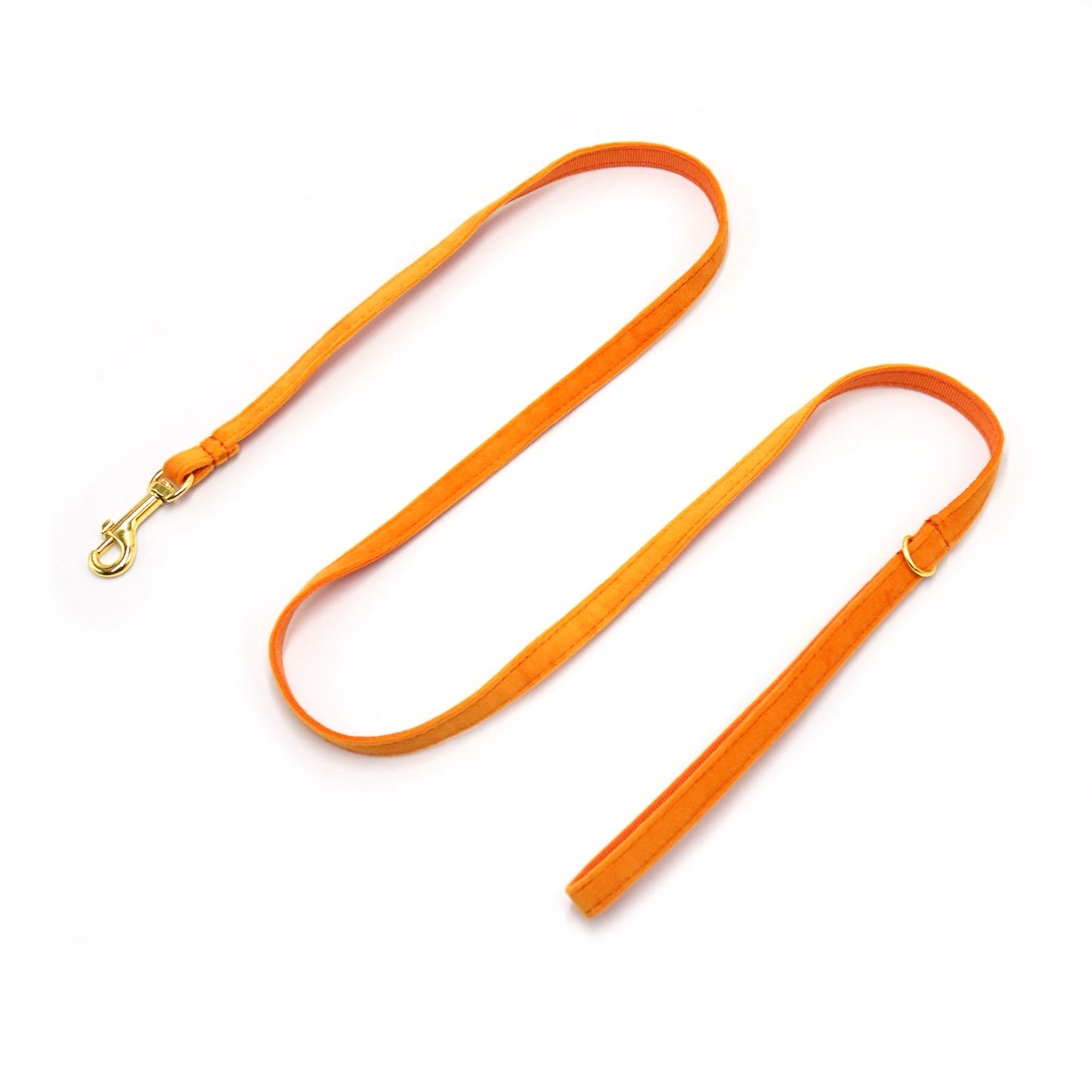 Pettns | One-Piece Cat Collar with Bell and Optional Laser Engraving for Daily Wear