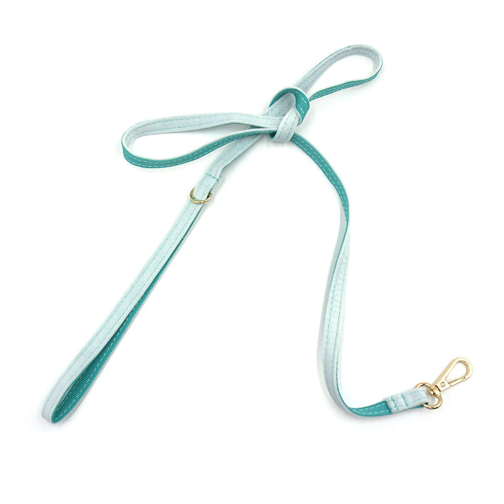 Cross-Border Drop Shipping Cat Leash, Small Dog Leash, Dog Walking Leash, Teacup Dog Chihuahua