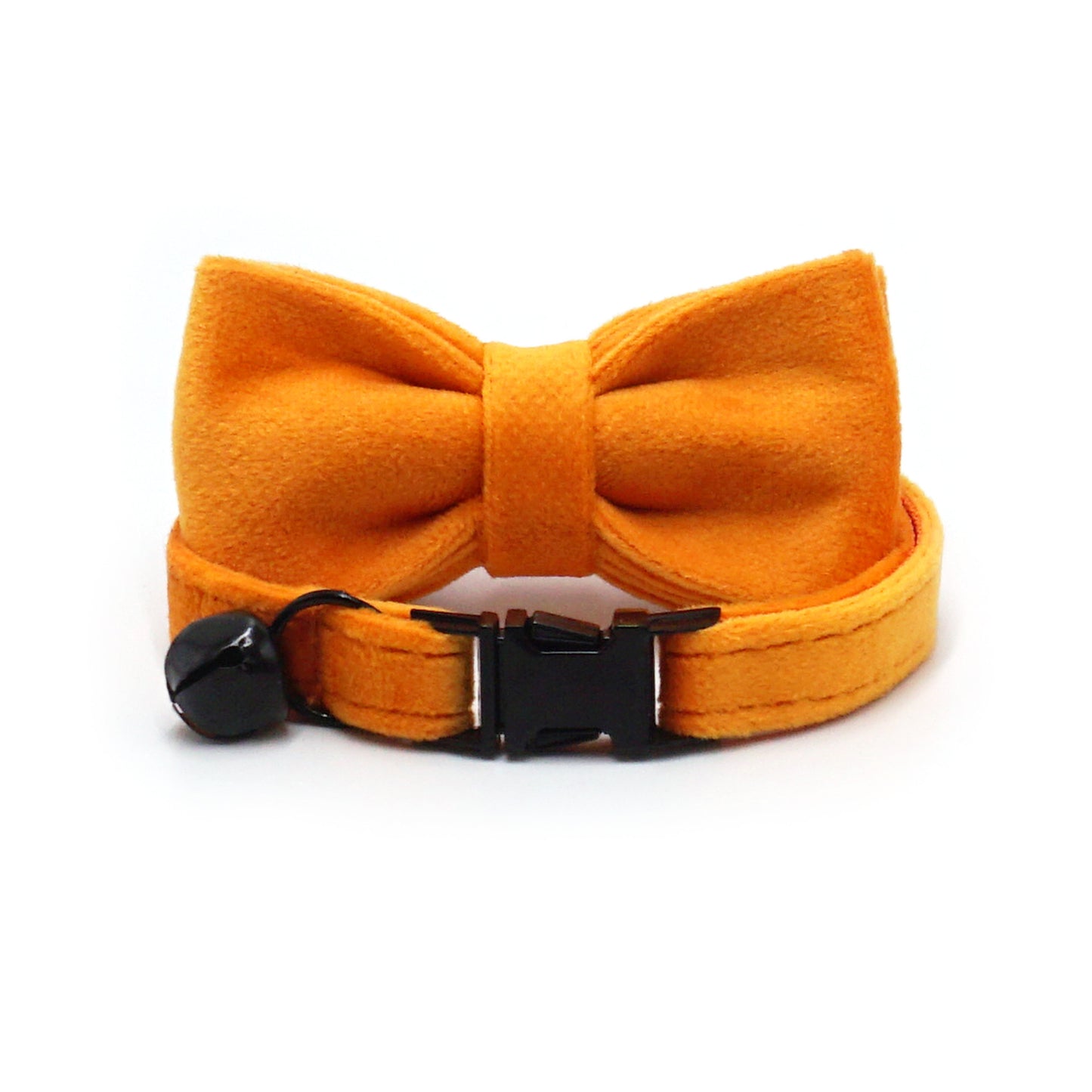 Pettns | One-Piece Cat Collar with Bell and Optional Laser Engraving for Daily Wear