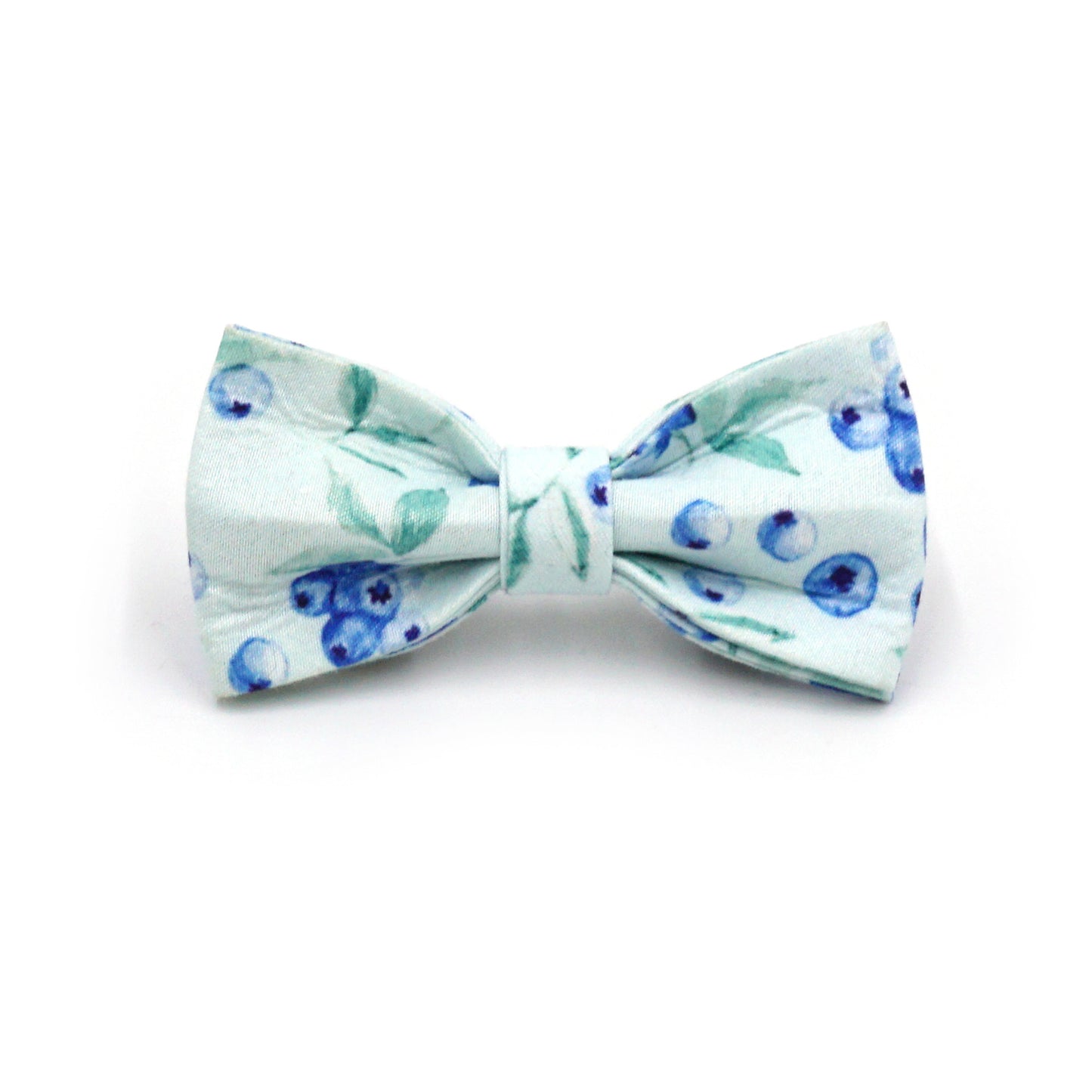 Pettns | Lemon Pattern Cat Leash and Collar Set with Letter Detail for Daily Walks