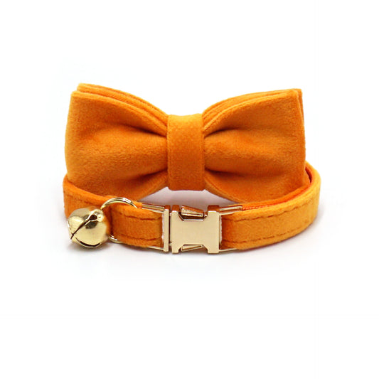 Pettns | One-Piece Cat Collar with Bell and Optional Laser Engraving for Daily Wear