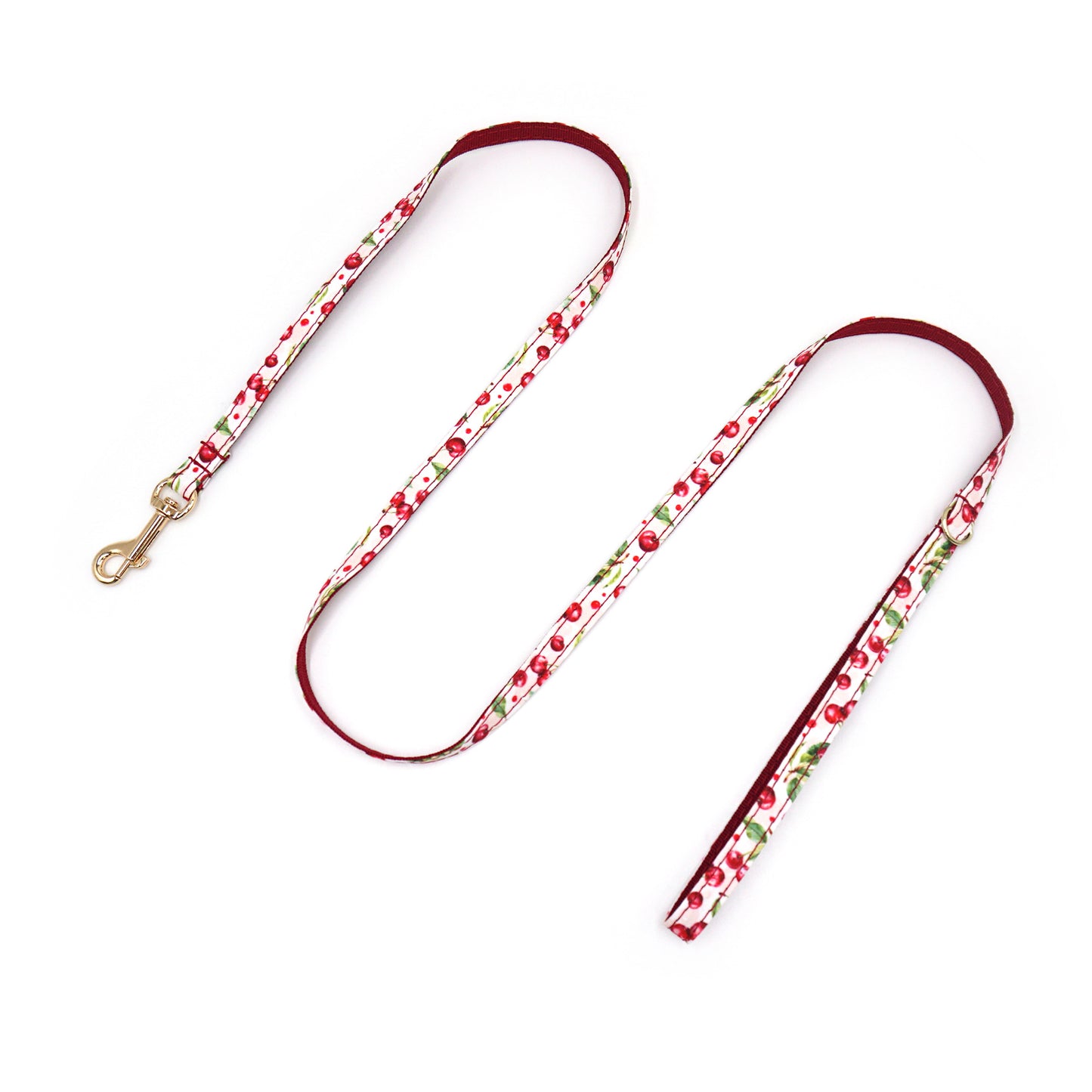 Pettns | Lemon Pattern Cat Leash and Collar Set with Letter Detail for Daily Walks