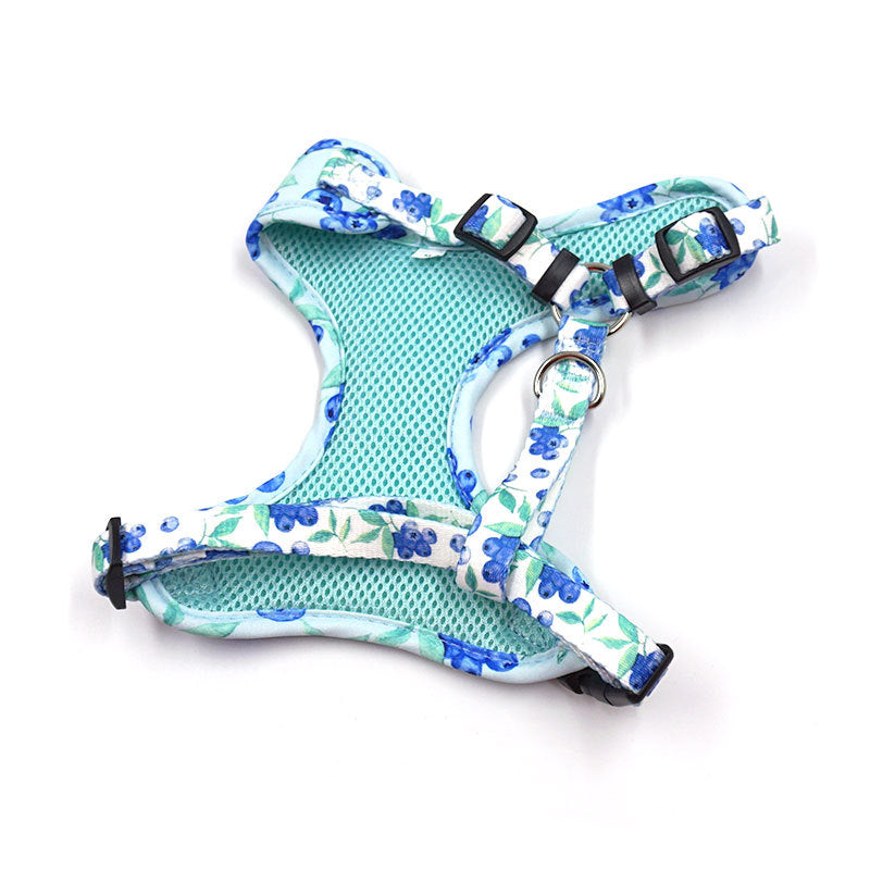 Pettns | Blueberry Pattern Dog Vest Harness for Everyday Outdoor Walks