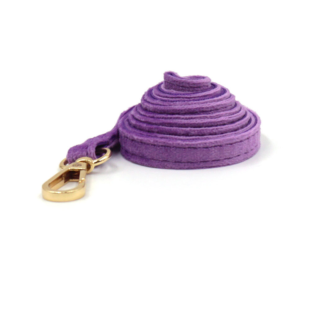 Cross-Border Drop Shipping Cat Leash, Small Dog Leash, Dog Walking Leash, Teacup Dog Chihuahua