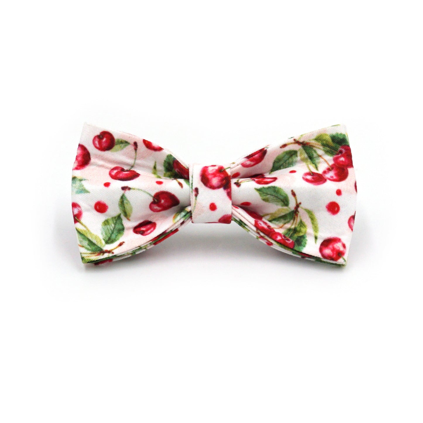 Pettns | Lemon Pattern Cat Leash and Collar Set with Letter Detail for Daily Walks