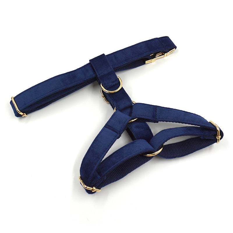 Pettns | Tibetan Blue Velvet Dog Harness with Gold-Tone Buckle for Everyday Outings