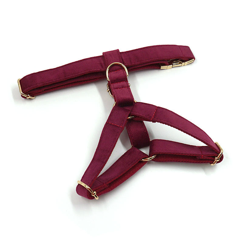Pettns | Burgundy Velvet Dog Vest Harness with Gold-Tone Buckle for Everyday Walks